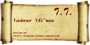 Taubner Tímea névjegykártya